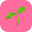 Step by step recipes